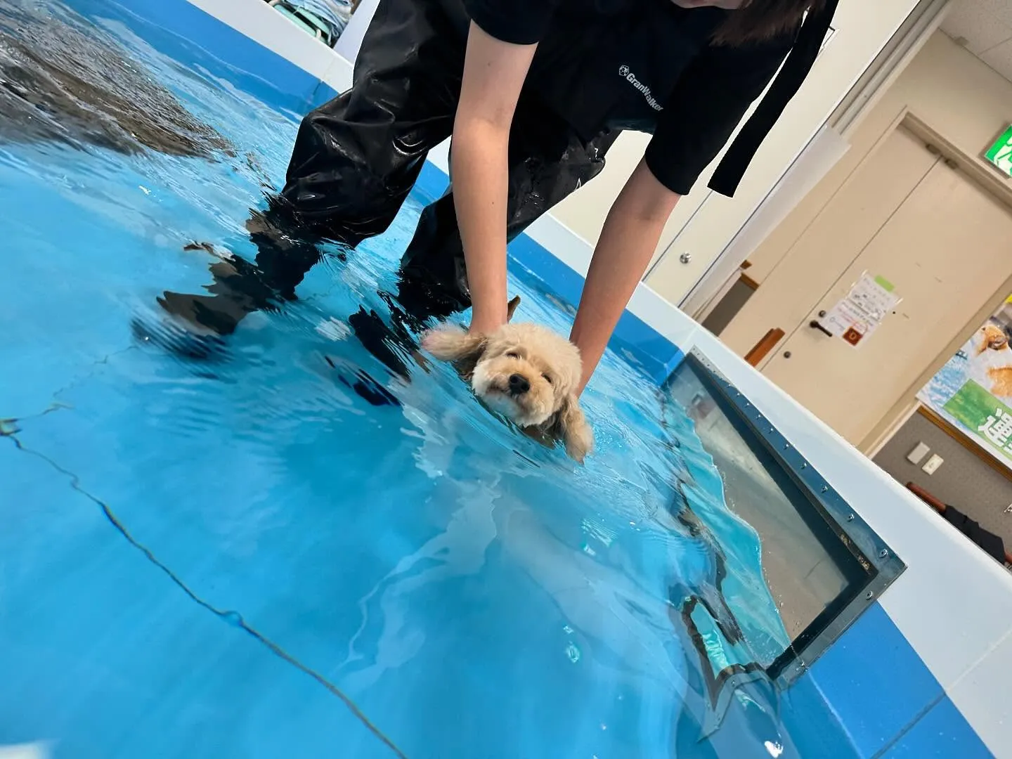 この前の学校dayの写真です🏫