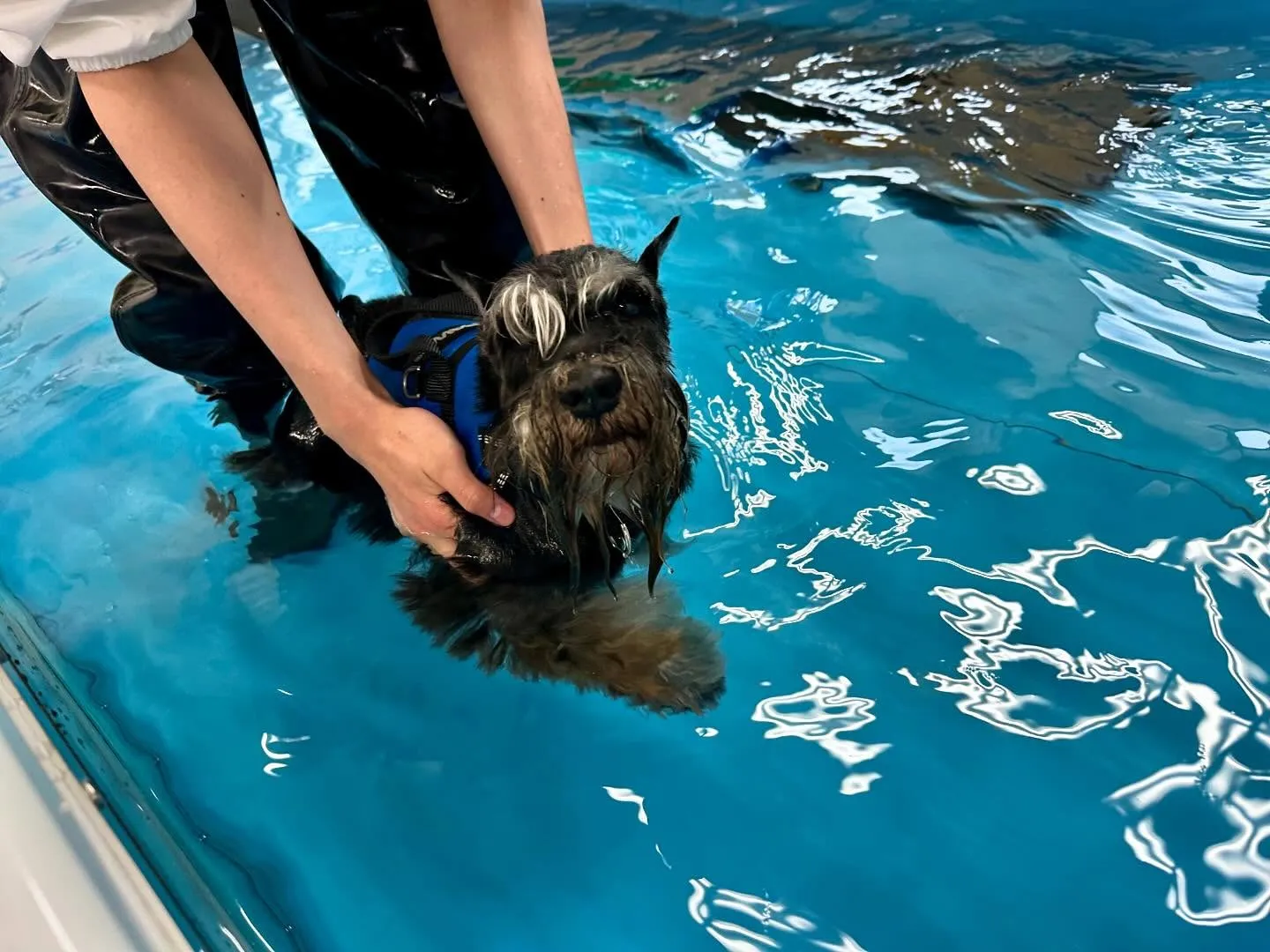 この前の学校dayの写真です🏫