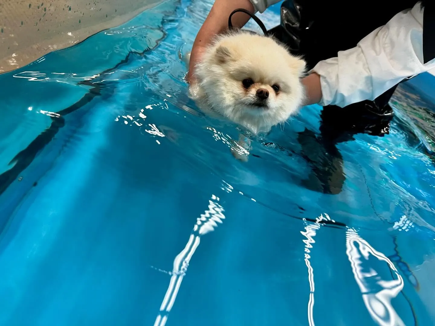 この前の学校dayの写真です🏫