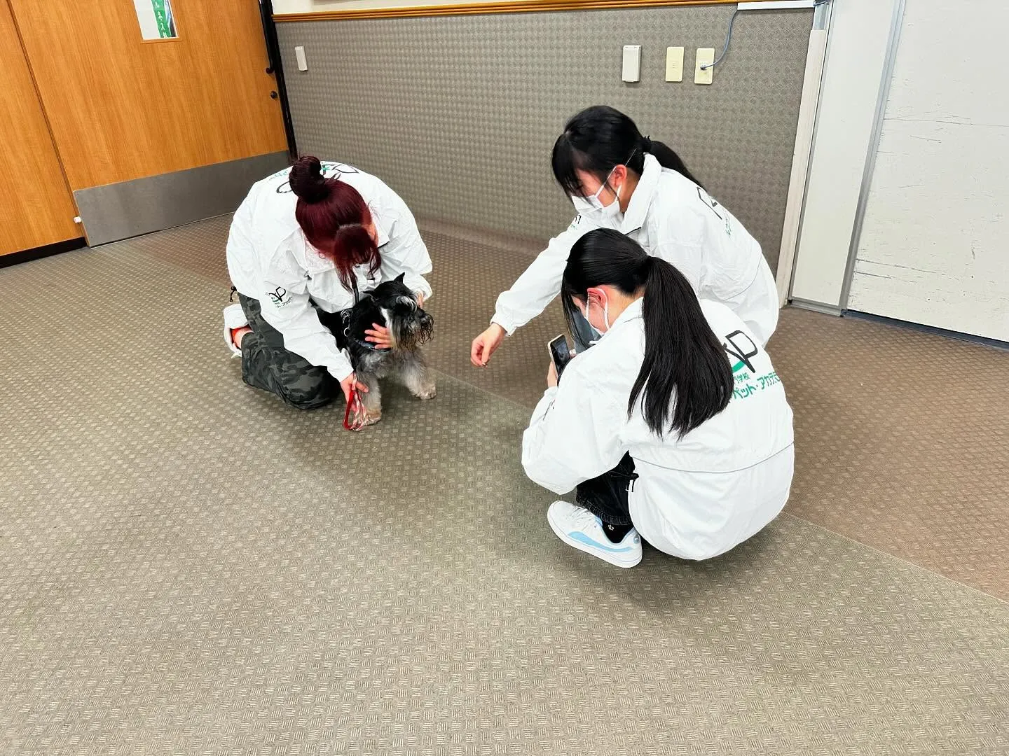 この前の学校dayの写真です🏫