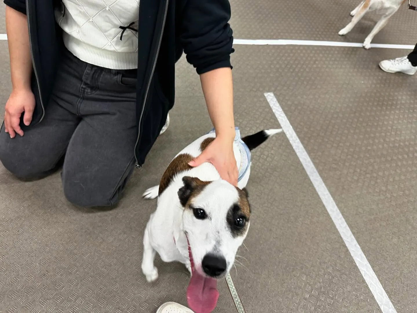 この前の学校dayの写真です🏫