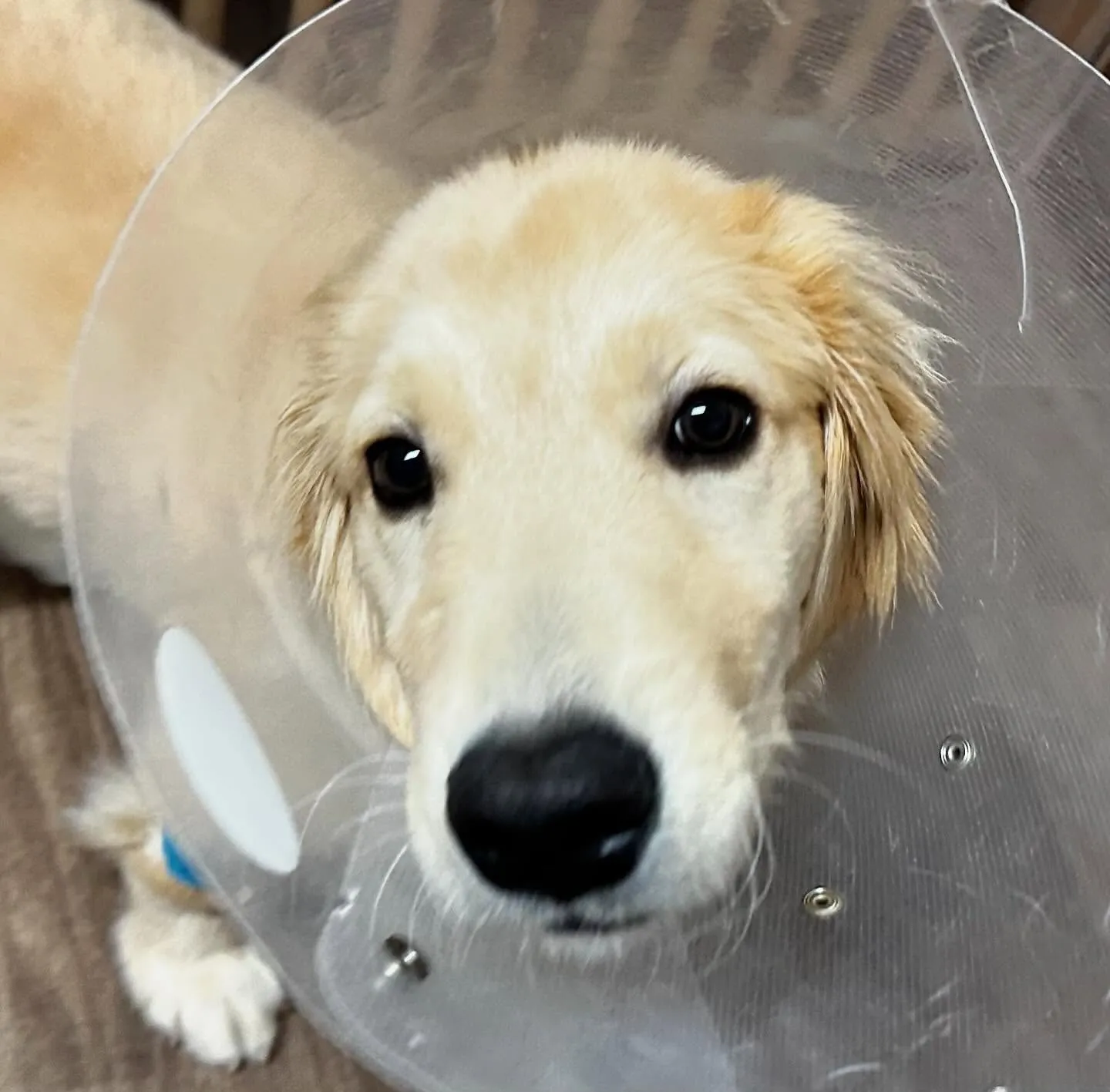 入会してくれたソルくんです🎶