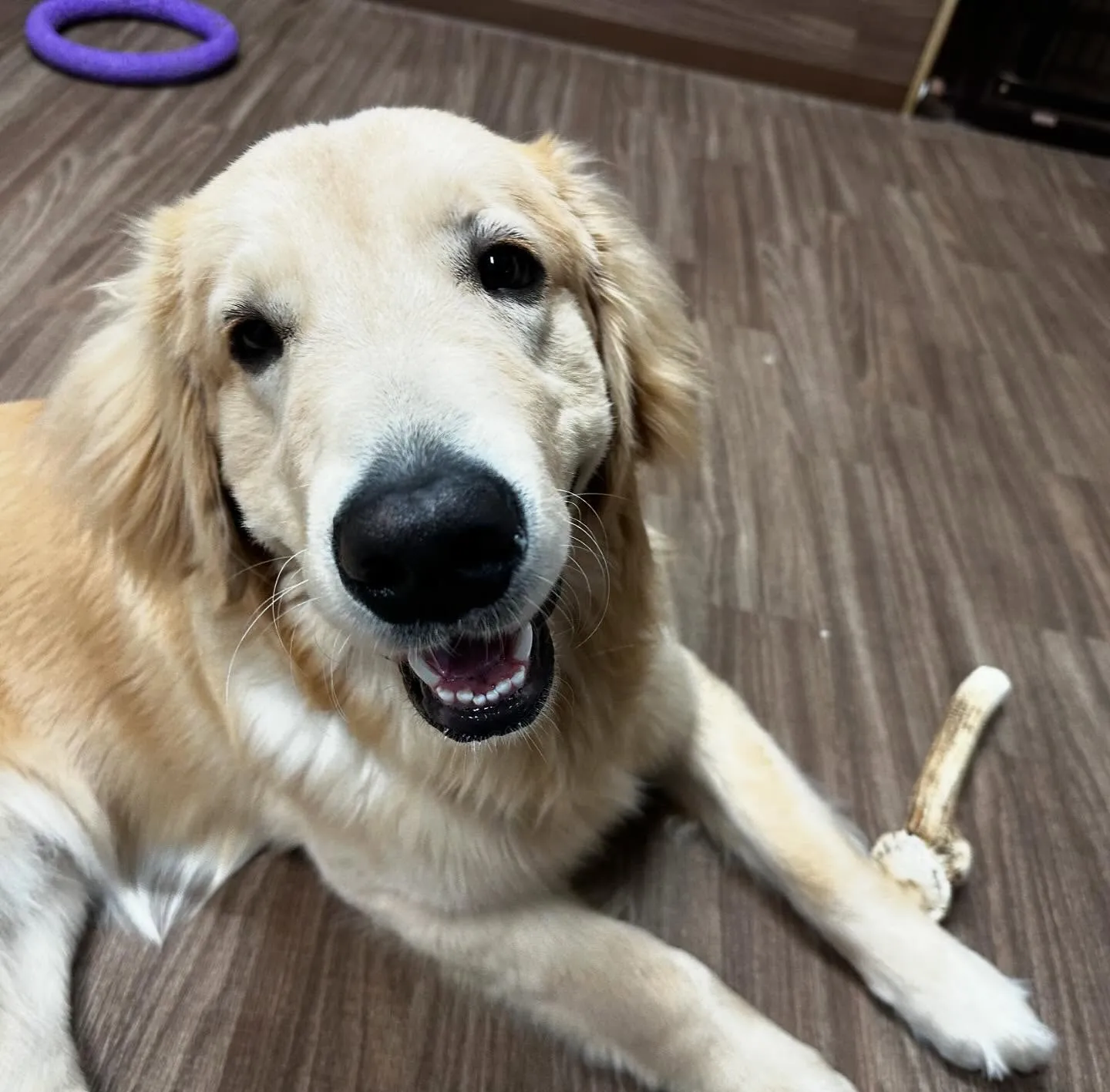 入会してくれたソルくんです🎶