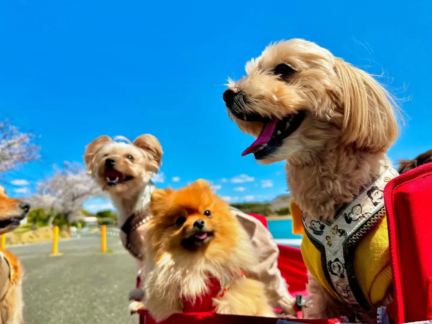 今日から5月ですね🌷