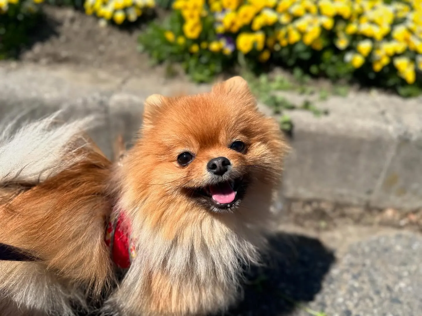 今日から5月ですね🌷