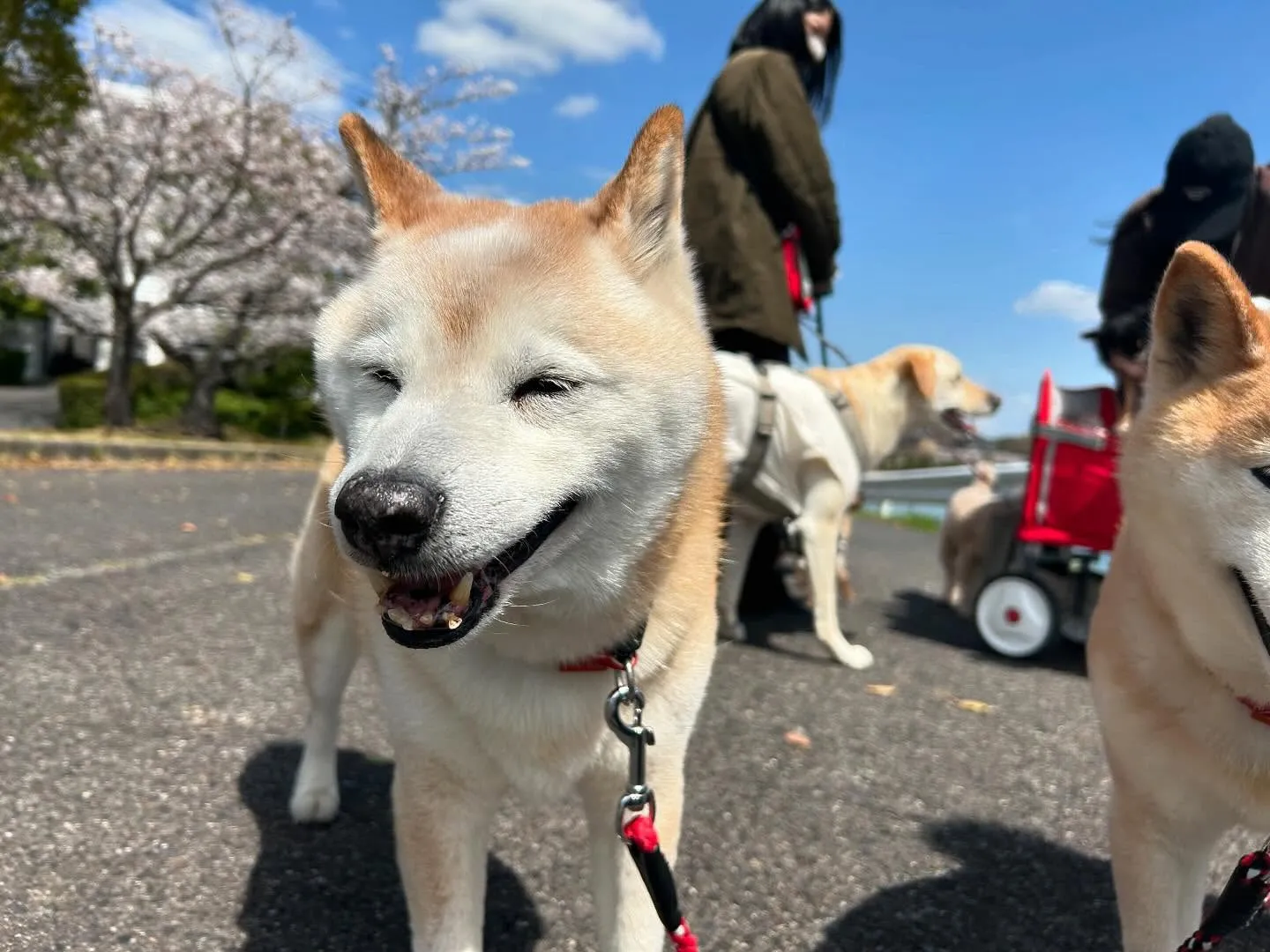 今日から5月ですね🌷