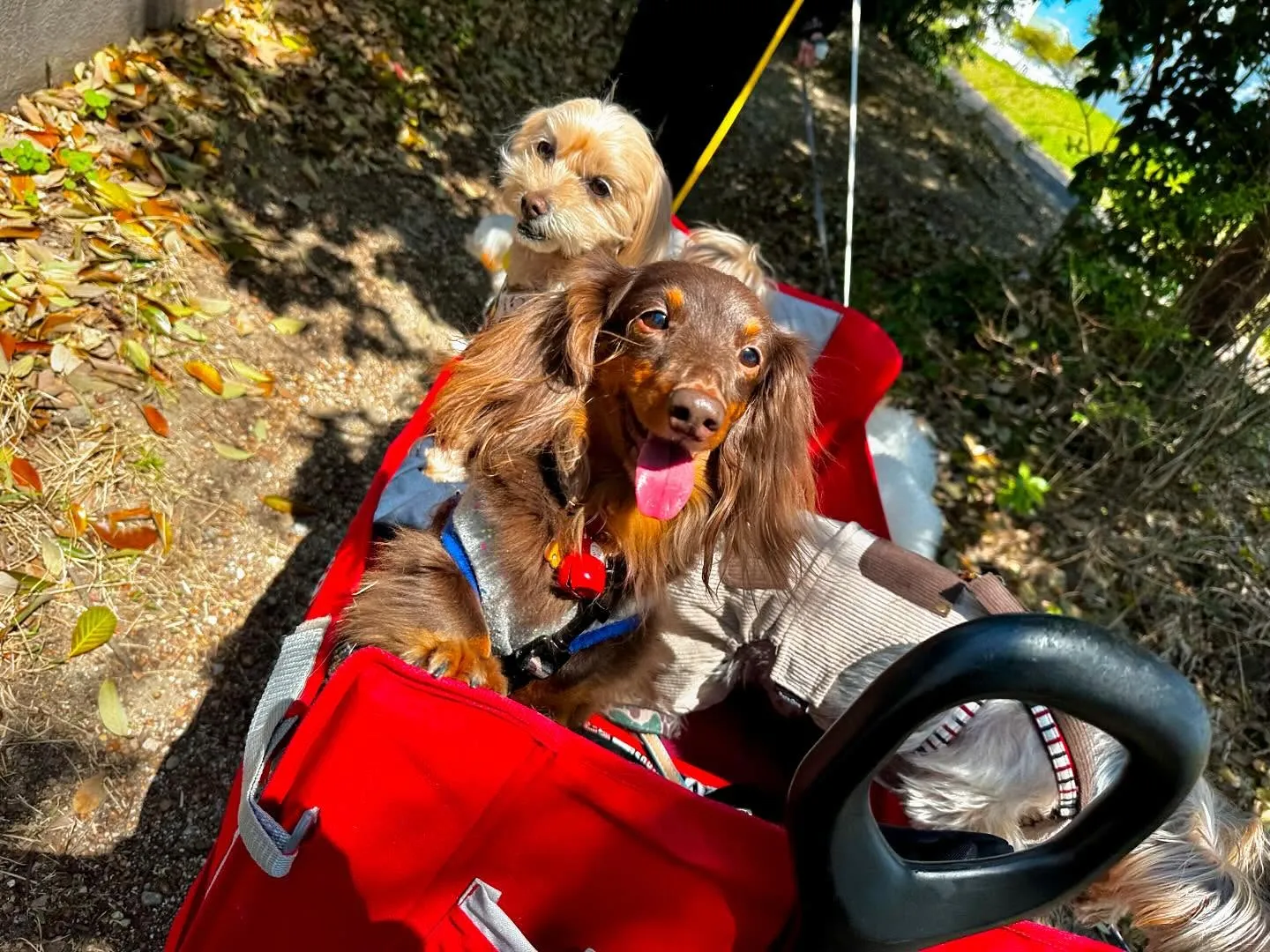 今日から5月ですね🌷