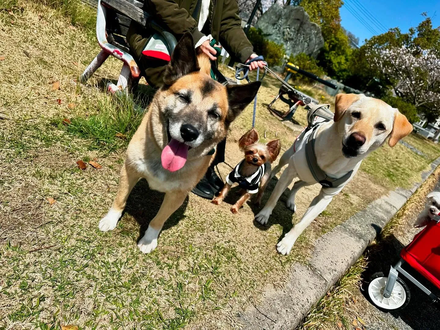今日から5月ですね🌷