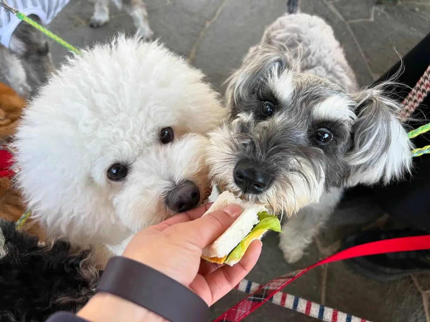 今日から5月ですね🌷