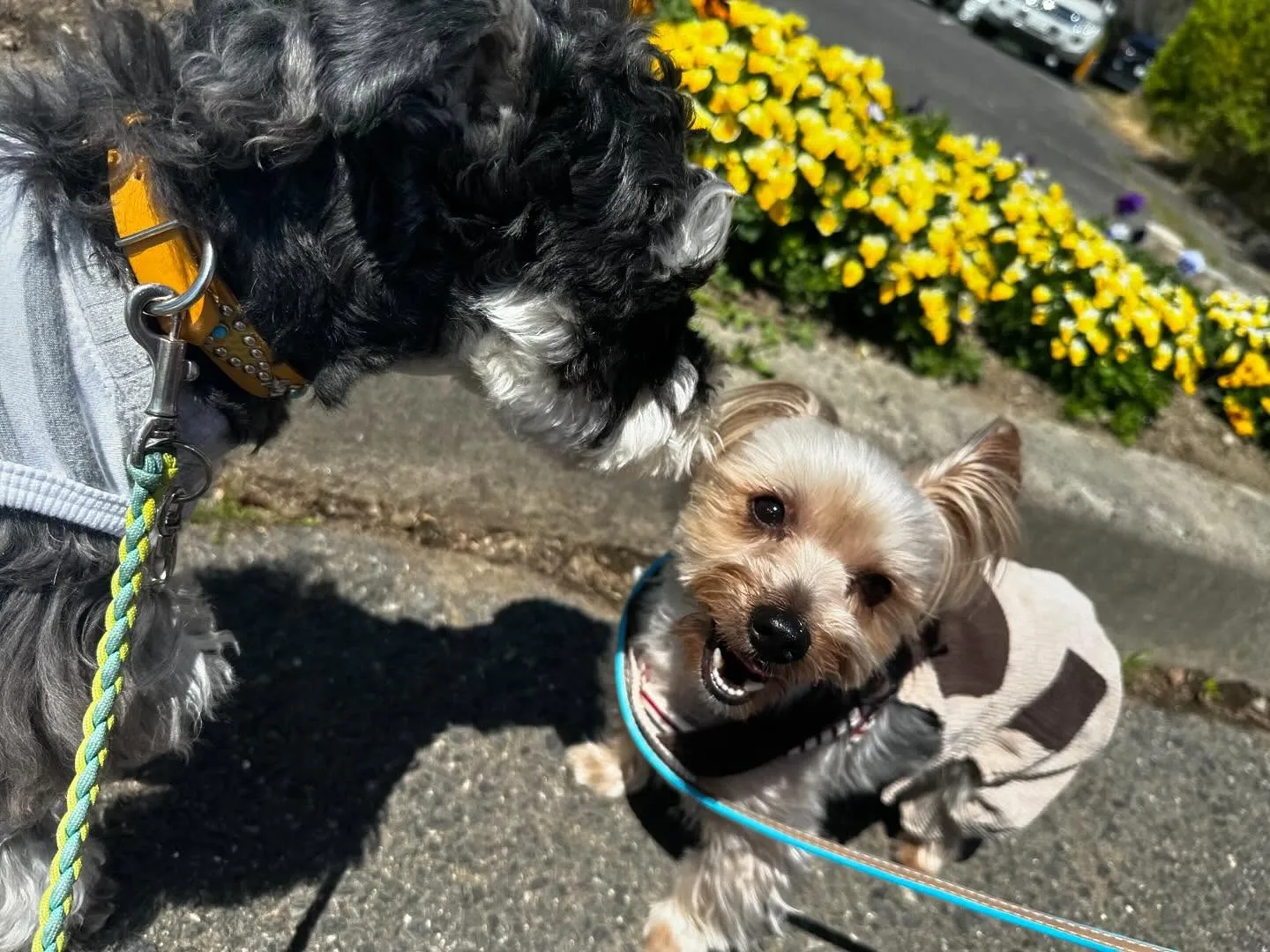 今日から5月ですね🌷