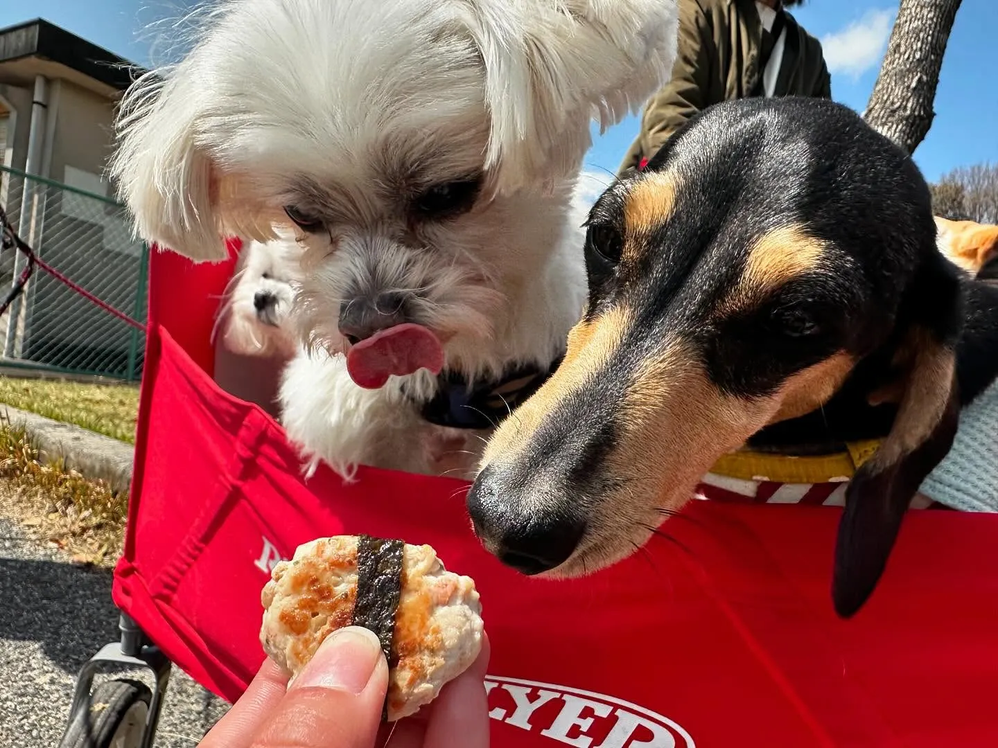 今日から5月ですね🌷