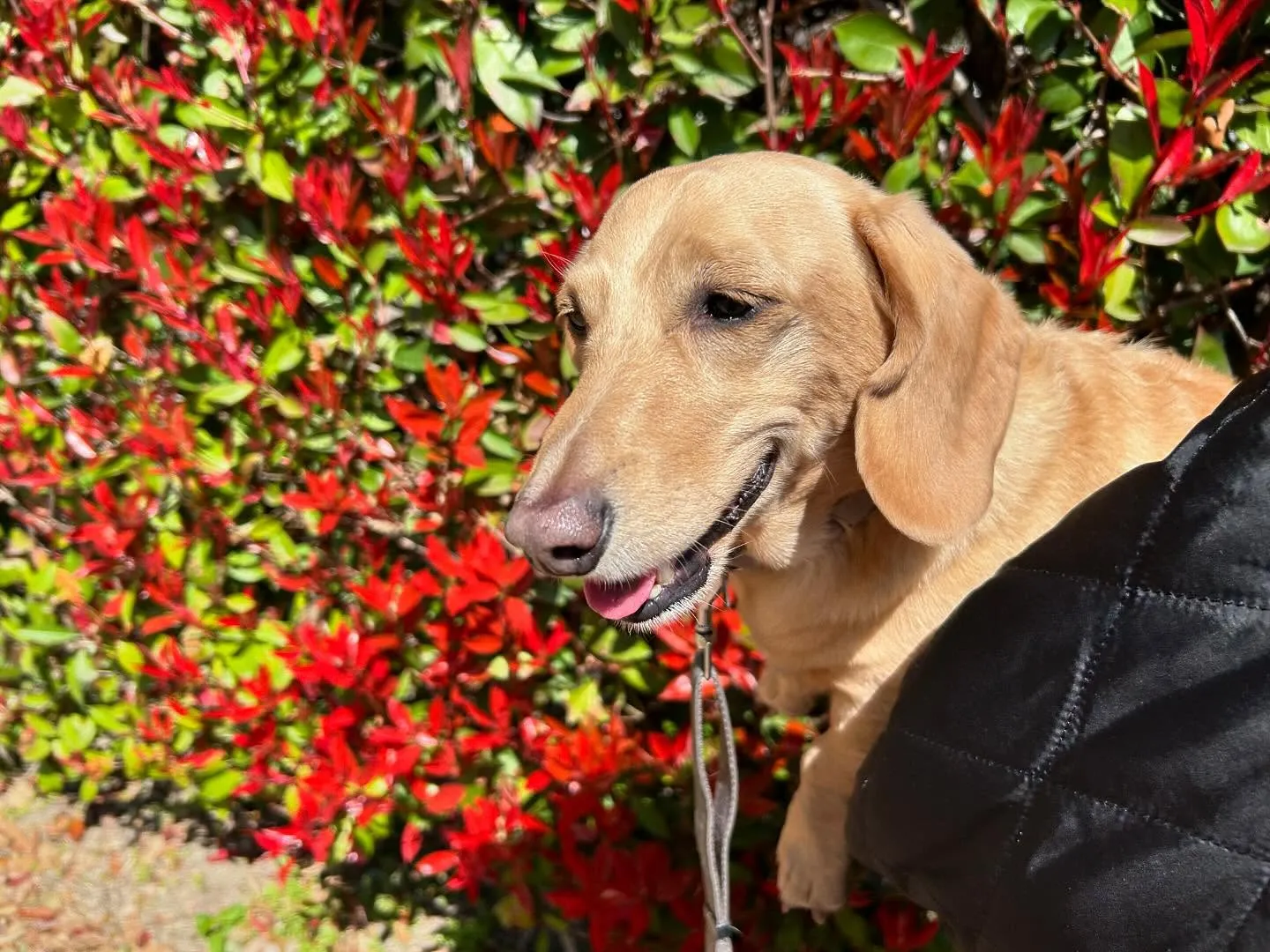 今日から5月ですね🌷