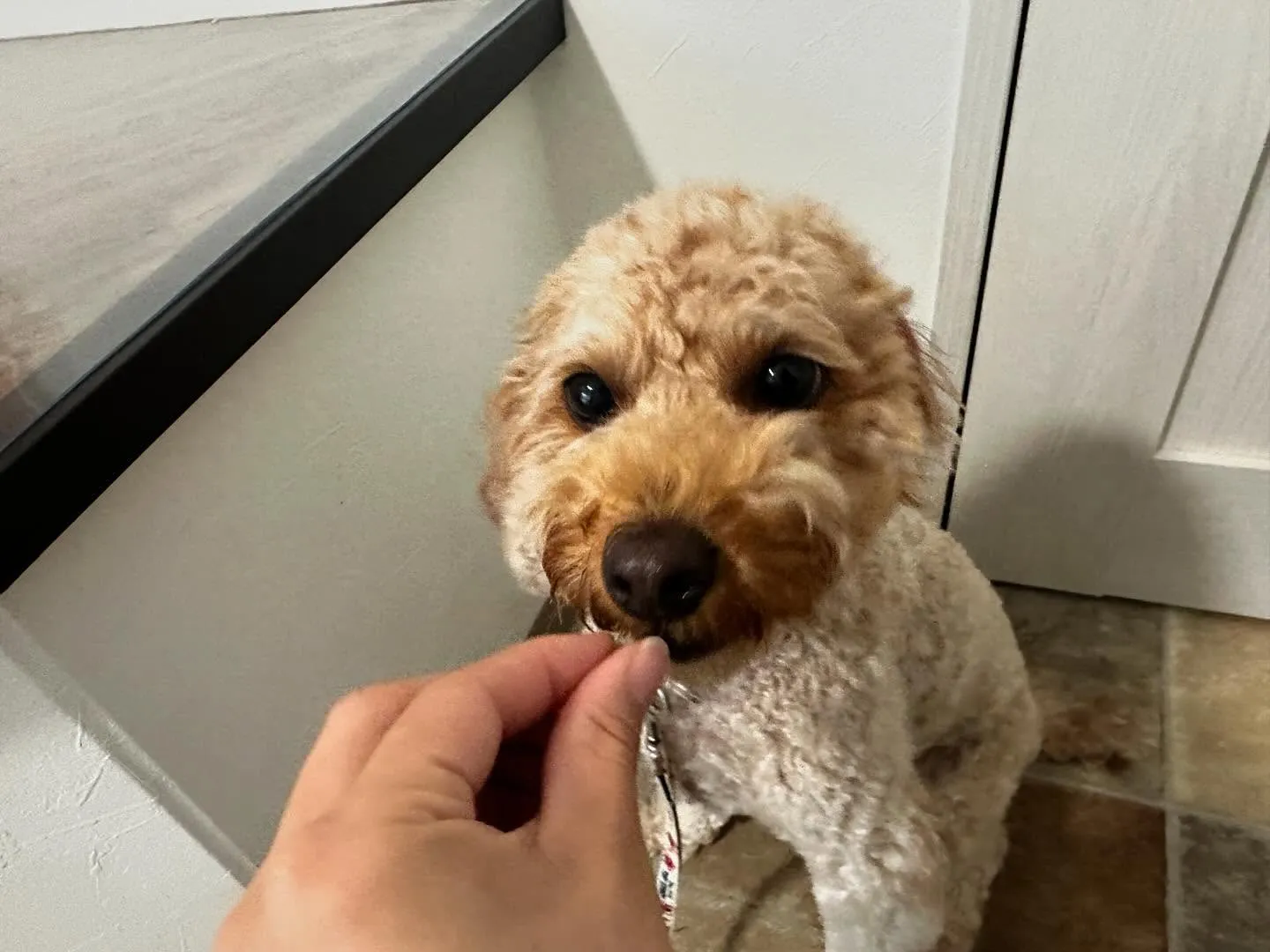 🎵5月のおすすめ商品🎵