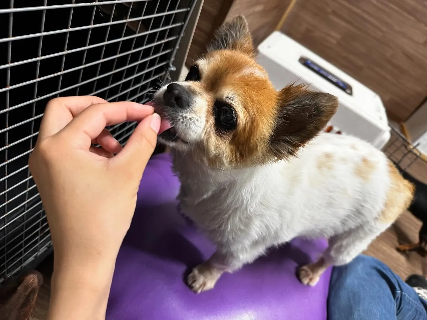 🎵5月のおすすめ商品🎵