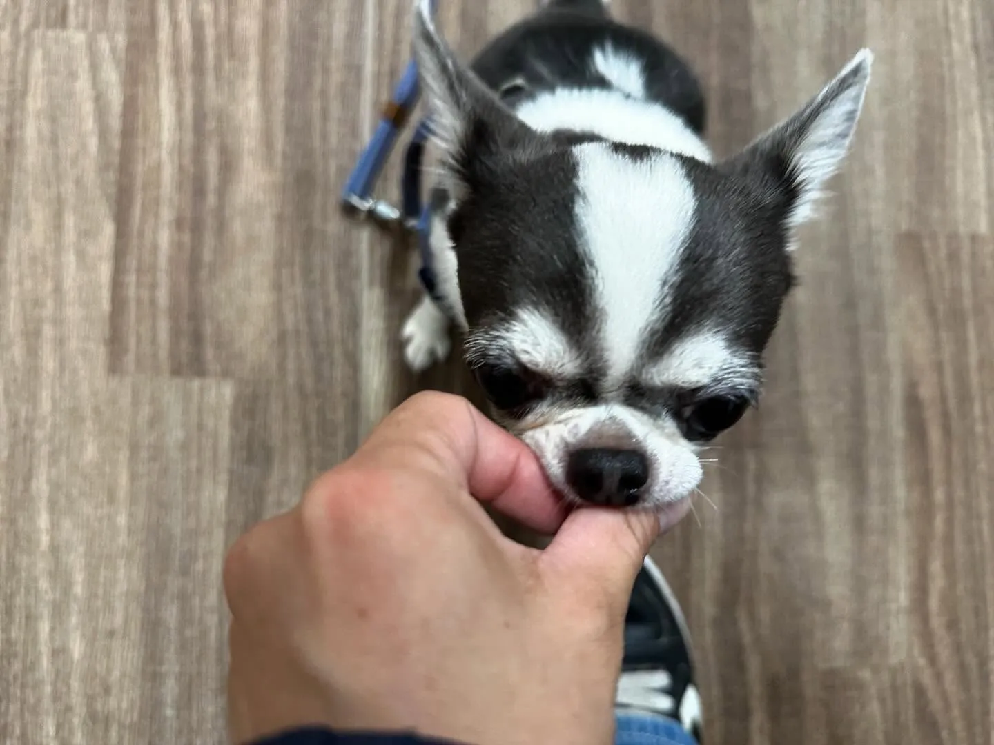 🎵5月のおすすめ商品🎵