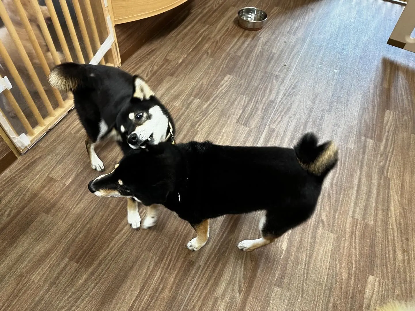 🎵5月のおすすめ商品🎵