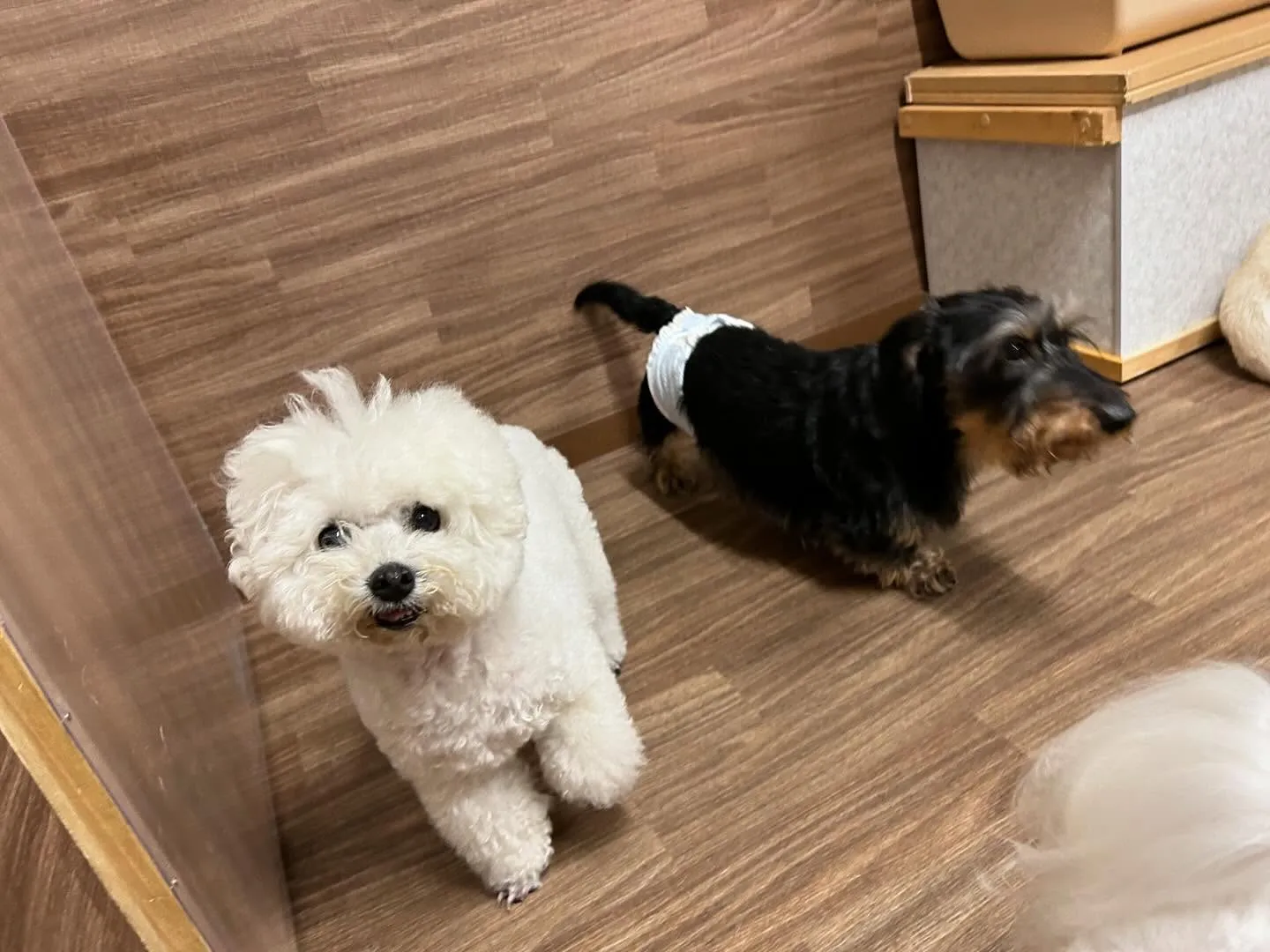 🎵5月のおすすめ商品🎵