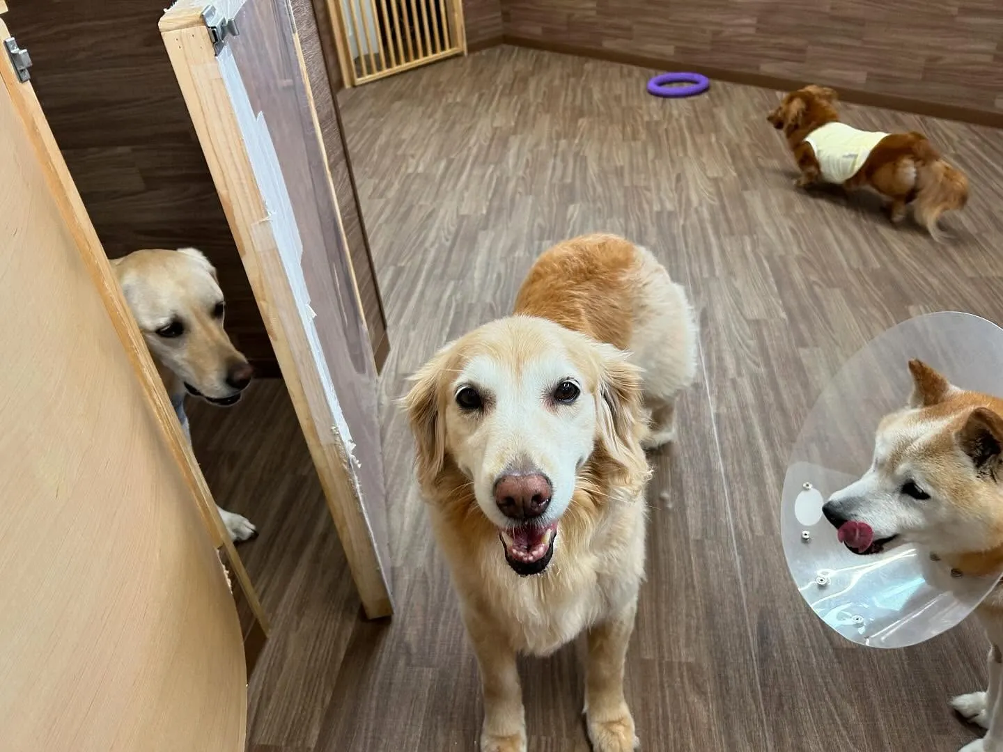 🎵5月のおすすめ商品🎵