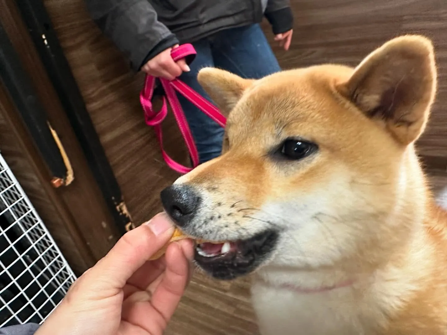 🎵5月のおすすめ商品🎵