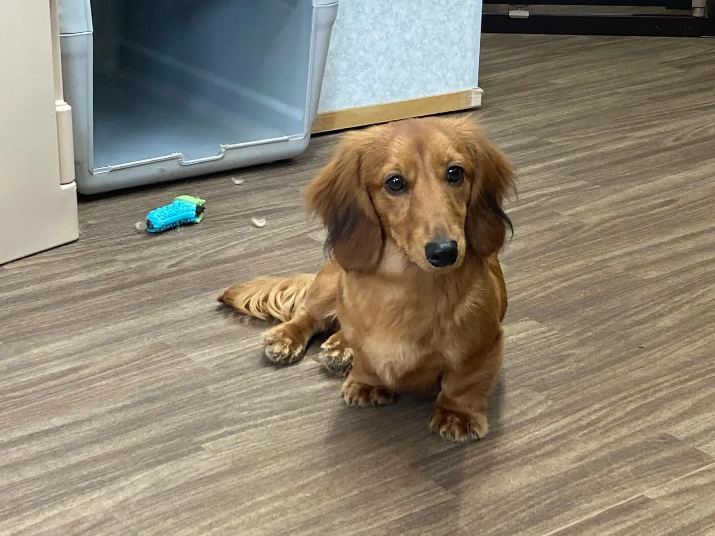 入会してくれたそらくんです💕