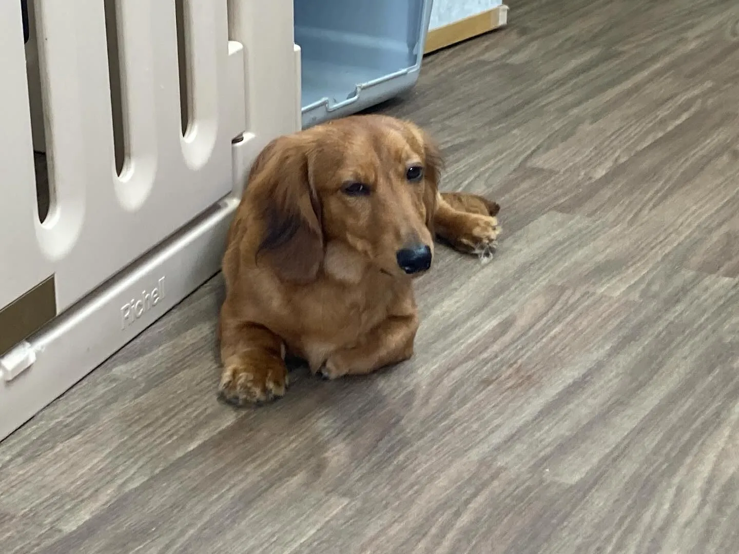 入会してくれたそらくんです💕