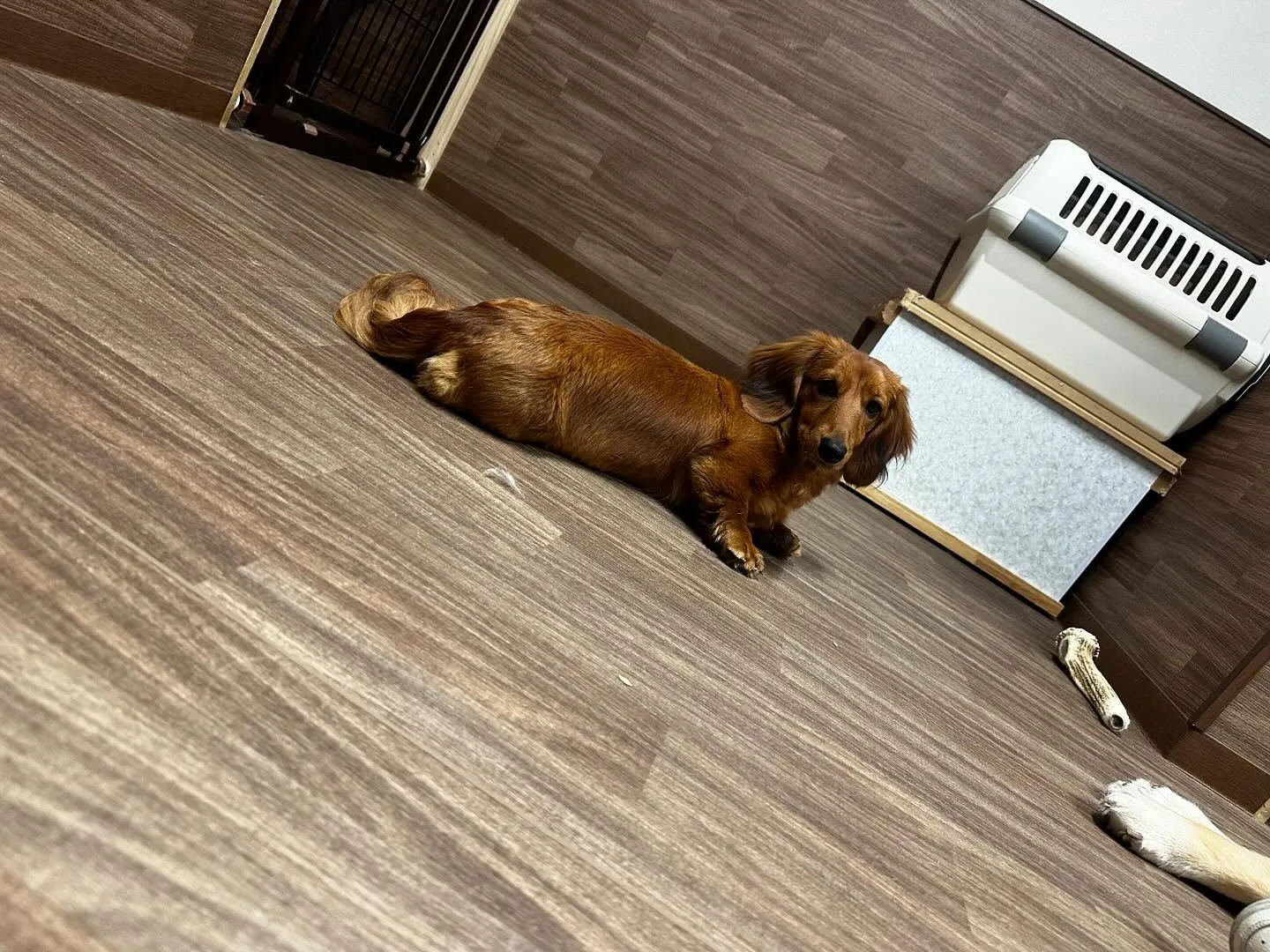 入会してくれたそらくんです💕