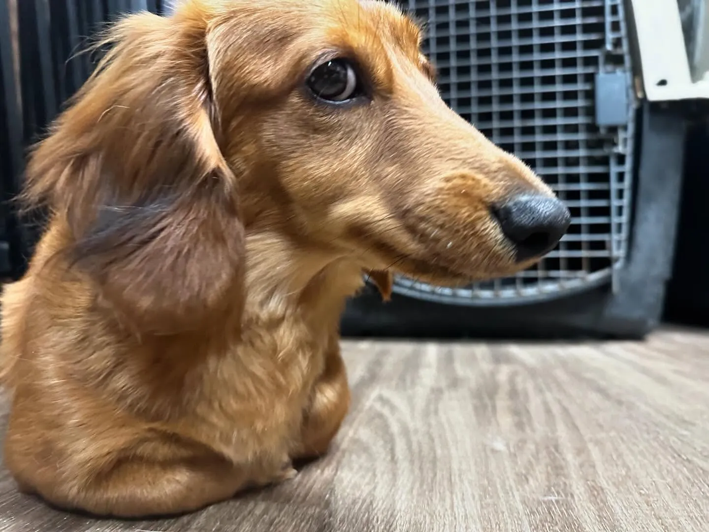 入会してくれたそらくんです💕