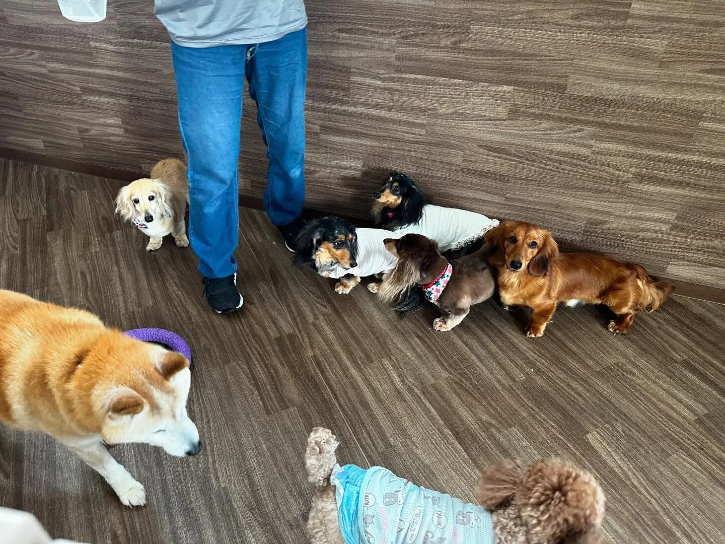 入会してくれたそらくんです💕