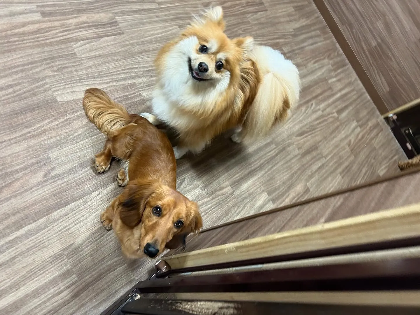 入会してくれたそらくんです💕