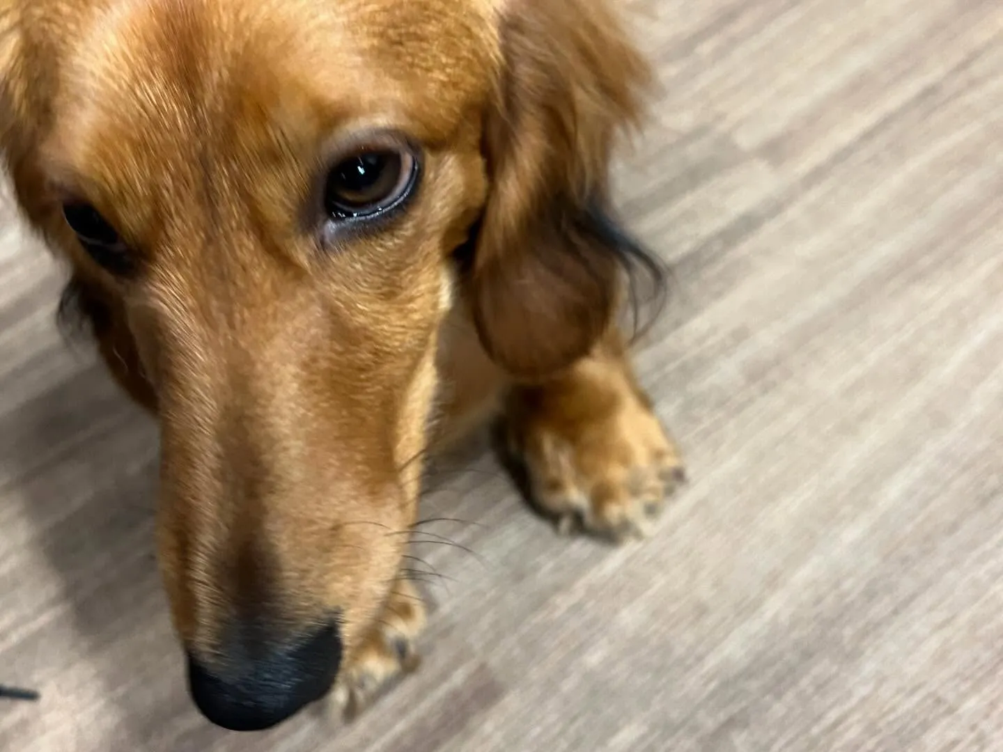 入会してくれたそらくんです💕