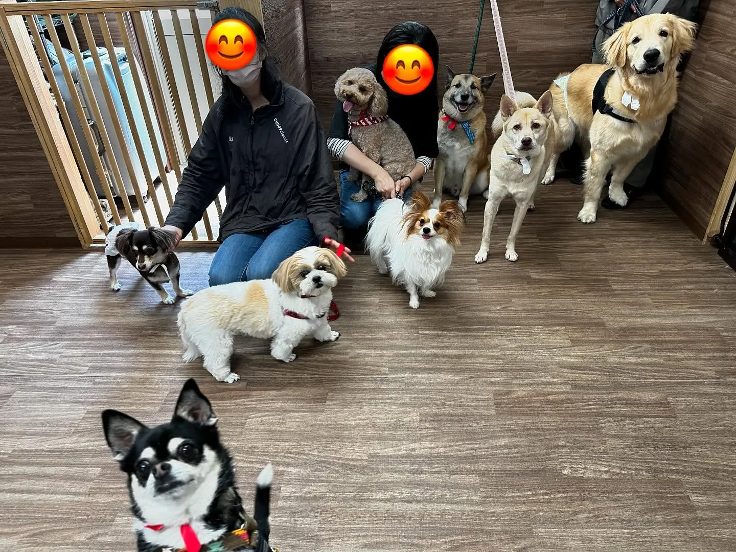 昨日は運動会イベントを開催していました🤗🎌