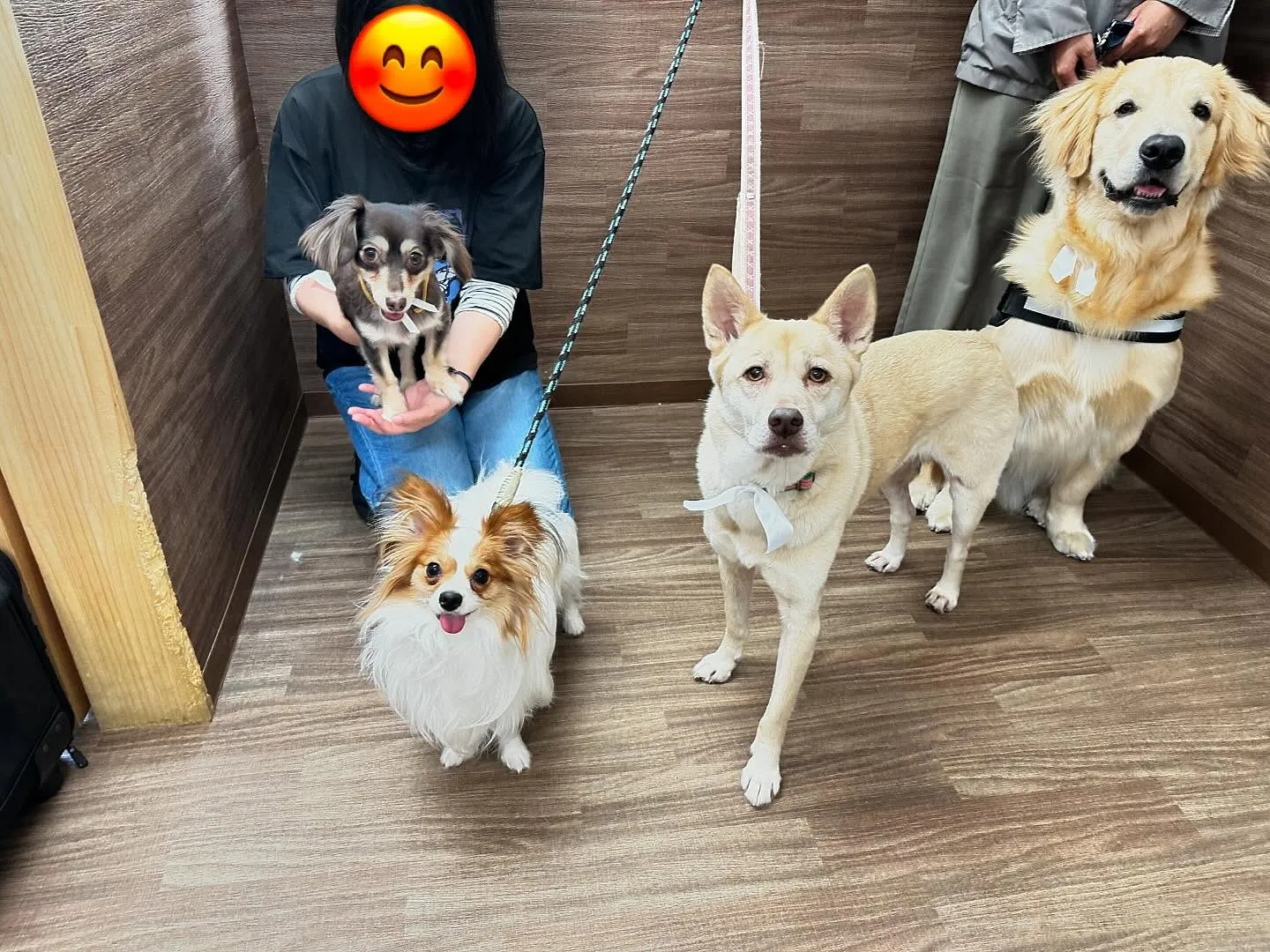 昨日は運動会イベントを開催していました🤗🎌