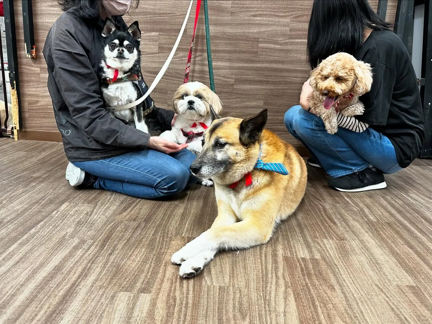 昨日は運動会イベントを開催していました🤗🎌