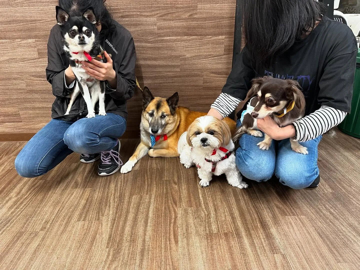 昨日は運動会イベントを開催していました🤗🎌