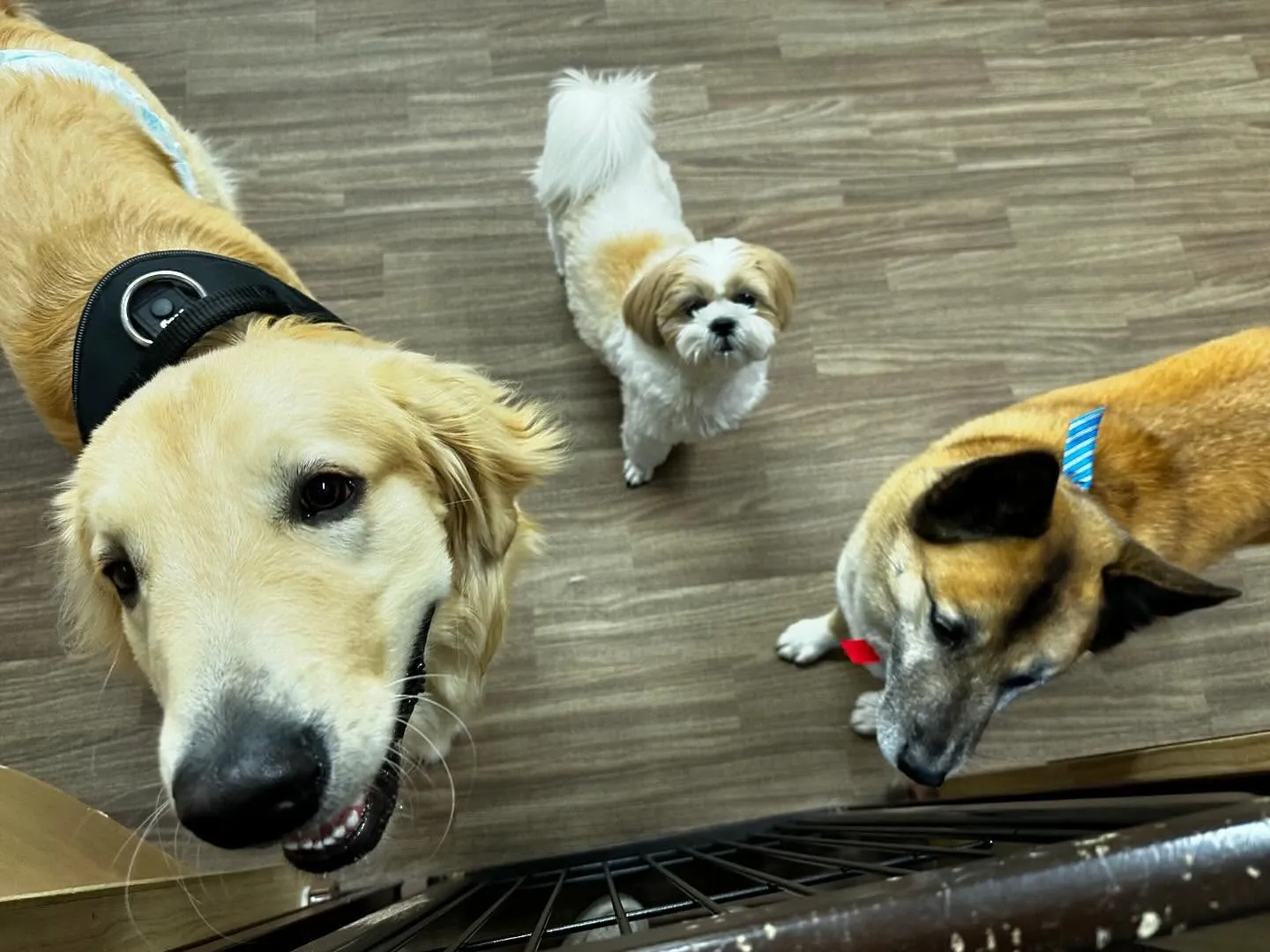 昨日は運動会イベントを開催していました🤗🎌