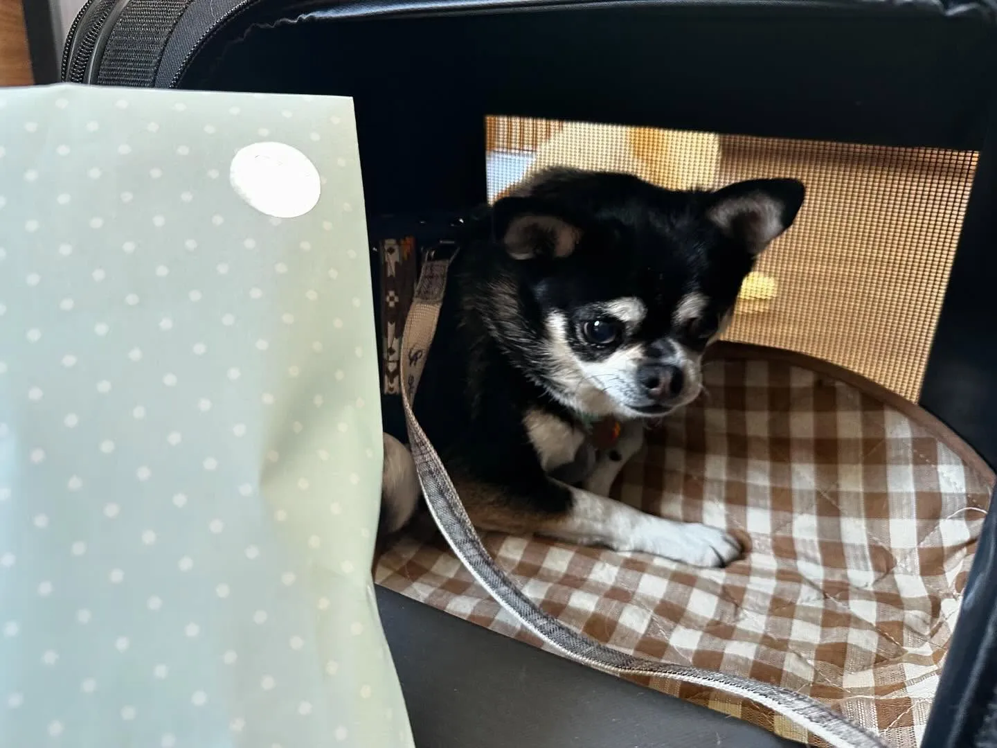 昨日は運動会イベントを開催していました🤗🎌