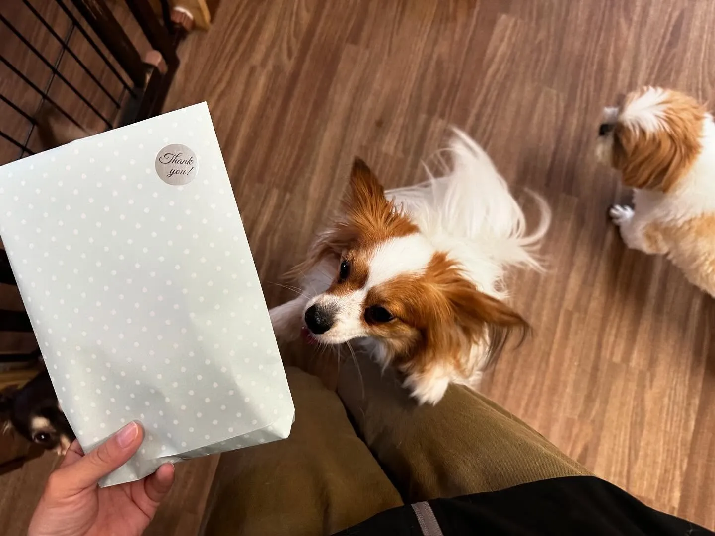 昨日は運動会イベントを開催していました🤗🎌