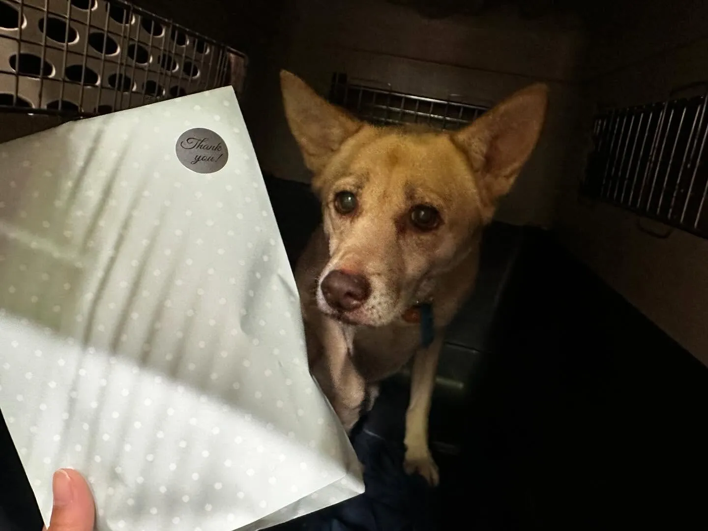 昨日は運動会イベントを開催していました🤗🎌