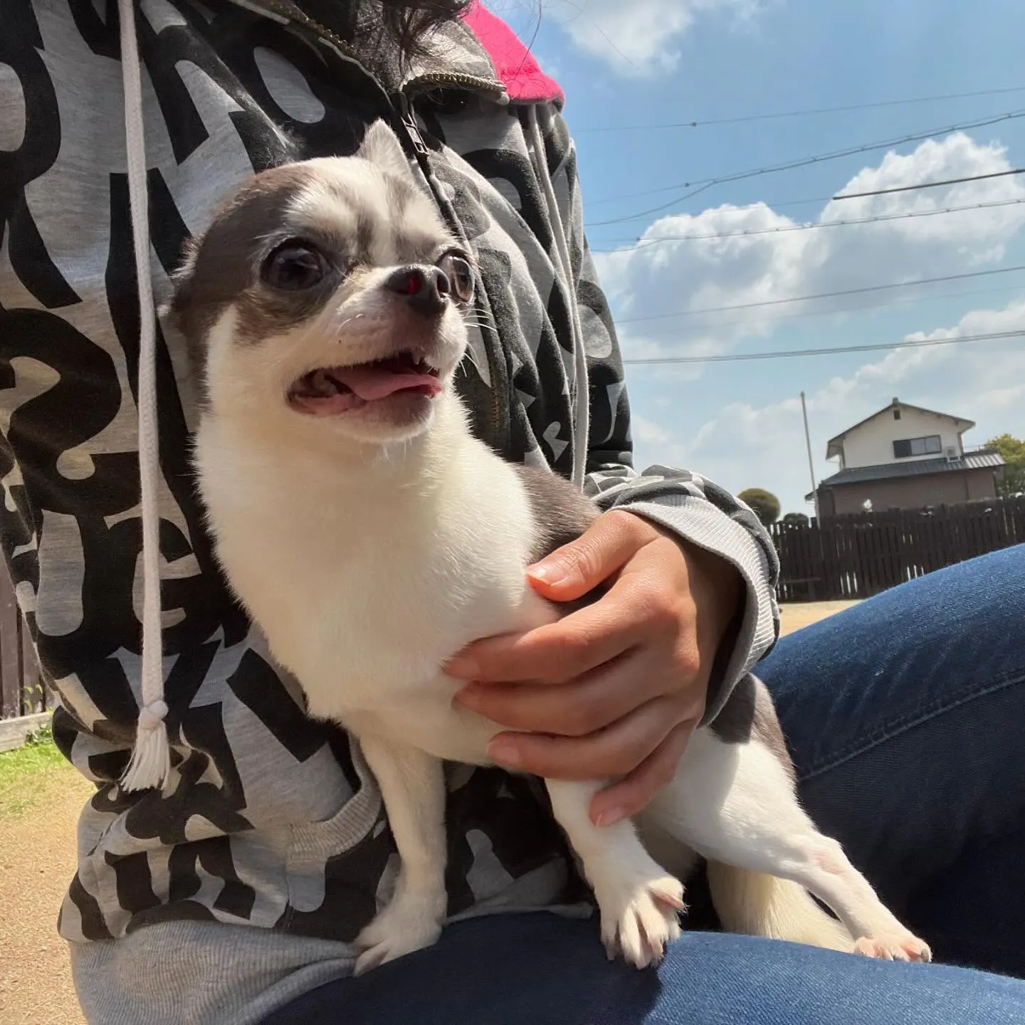 【ドッグランイベント予約受付開始のお知らせ】 