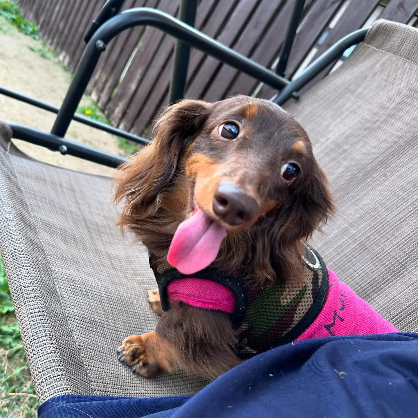 【ドッグランイベント予約受付開始のお知らせ】 