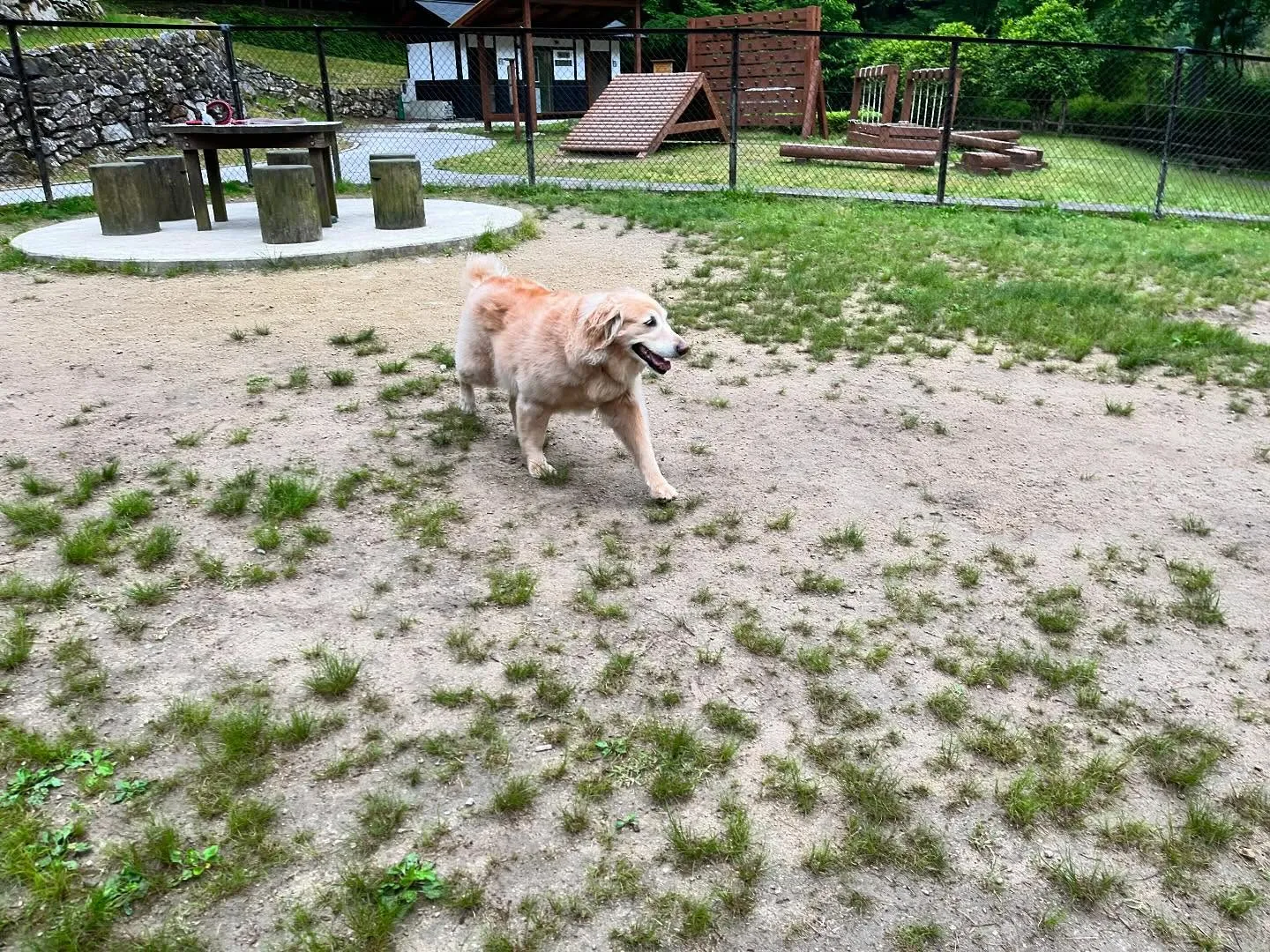 【ドッグランイベント 2日のご予約受付締切のお知らせ】