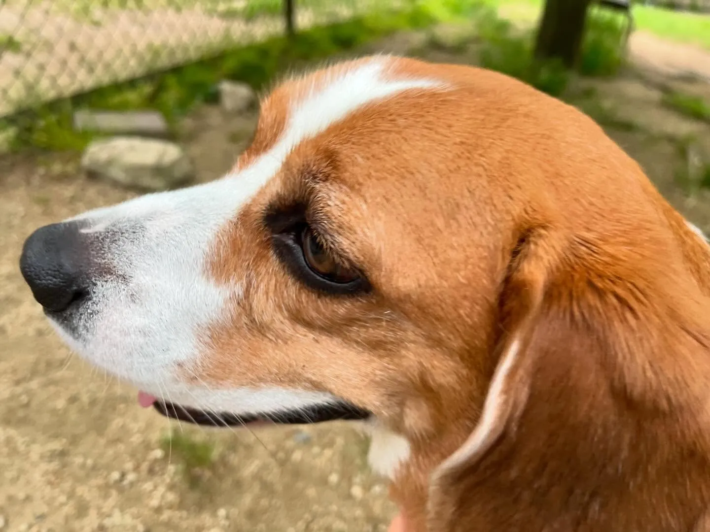 【ドッグランイベント 2日のご予約受付締切のお知らせ】