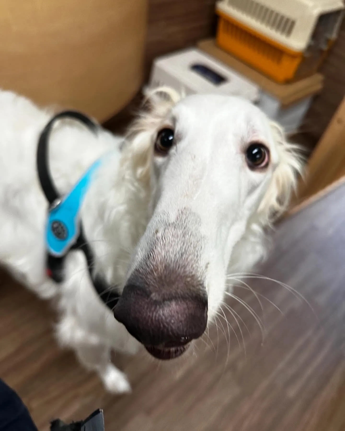 7月の営業カレンダーができあがりました🎶