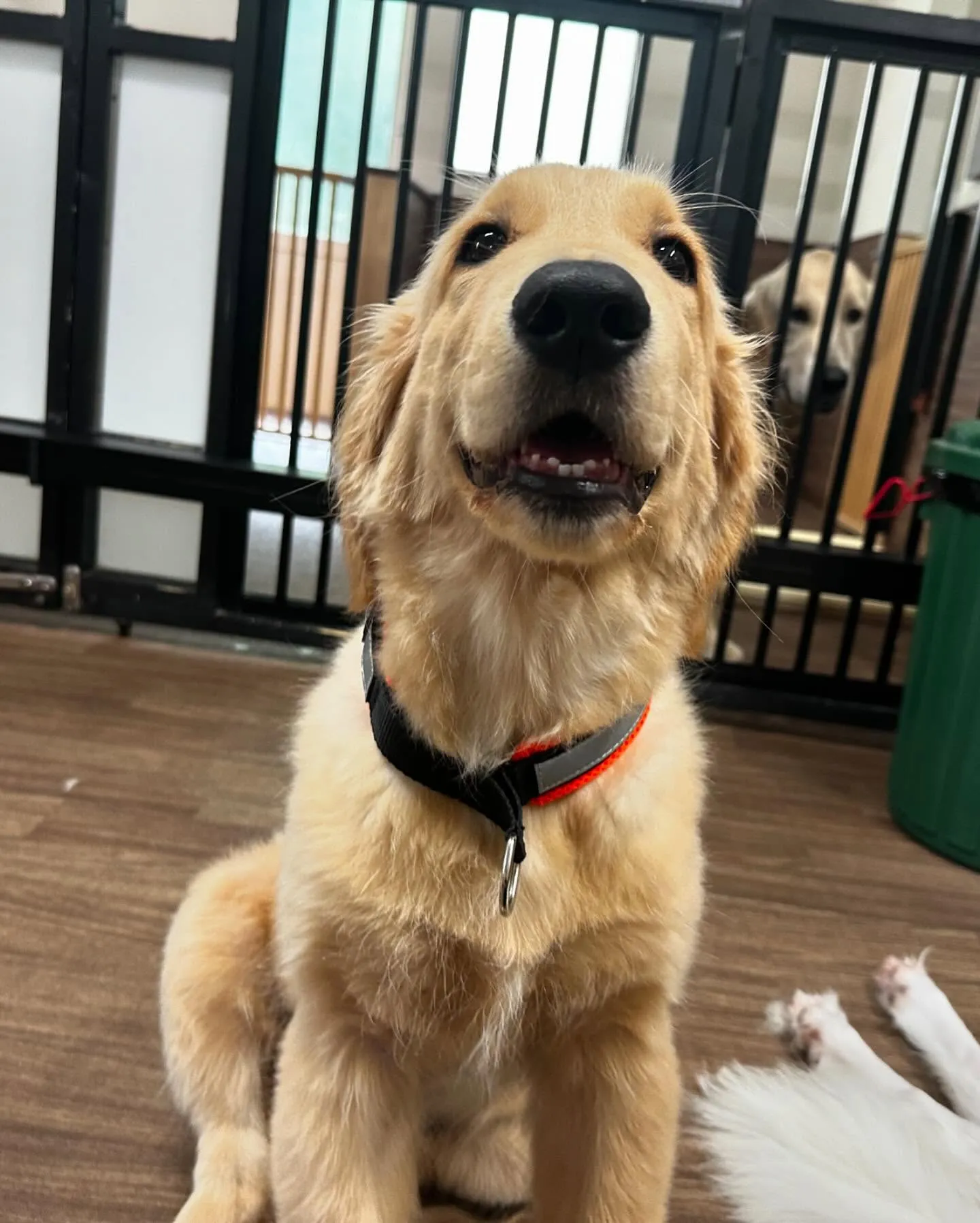 7月の営業カレンダーができあがりました🎶