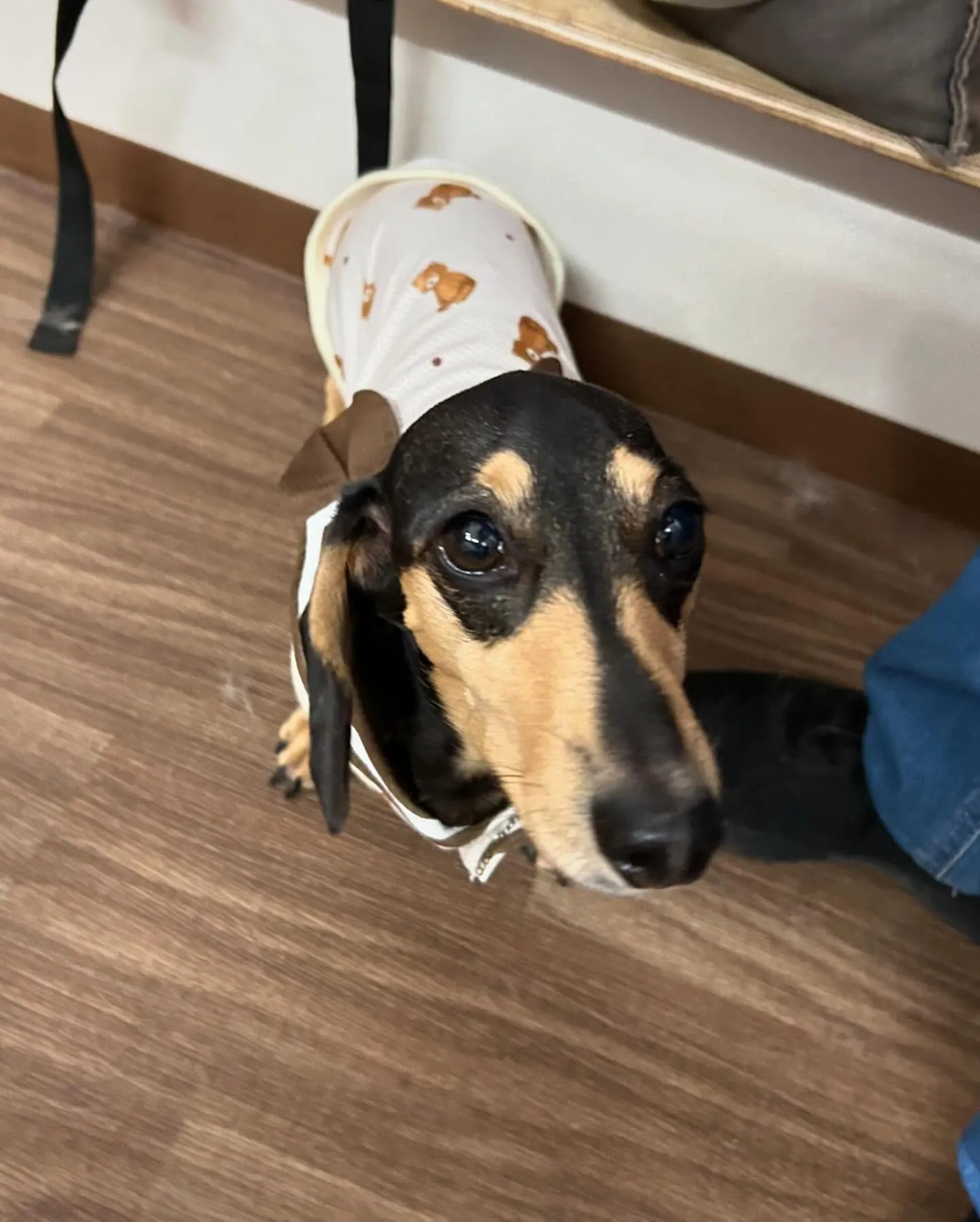 7月の営業カレンダーができあがりました🎶