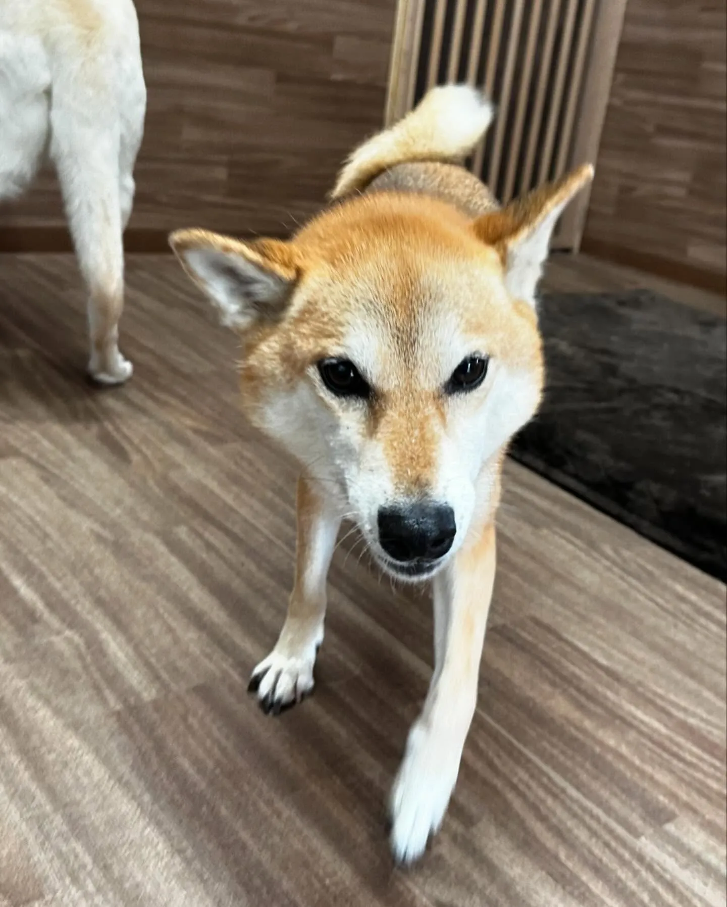 7月の営業カレンダーができあがりました🎶