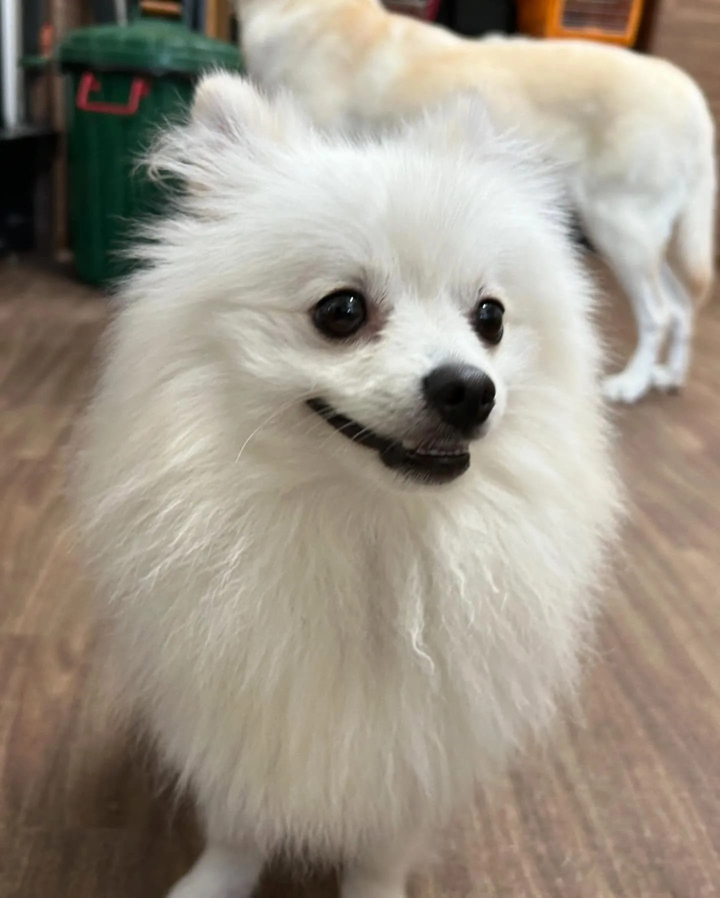 7月の営業カレンダーができあがりました🎶