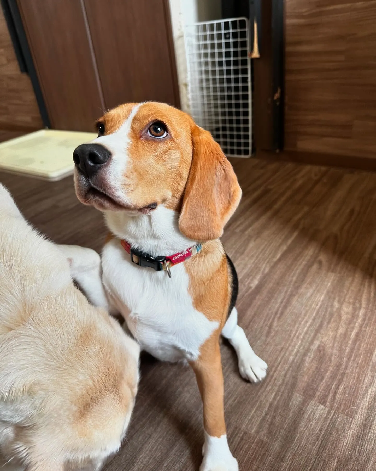 7月の営業カレンダーができあがりました🎶