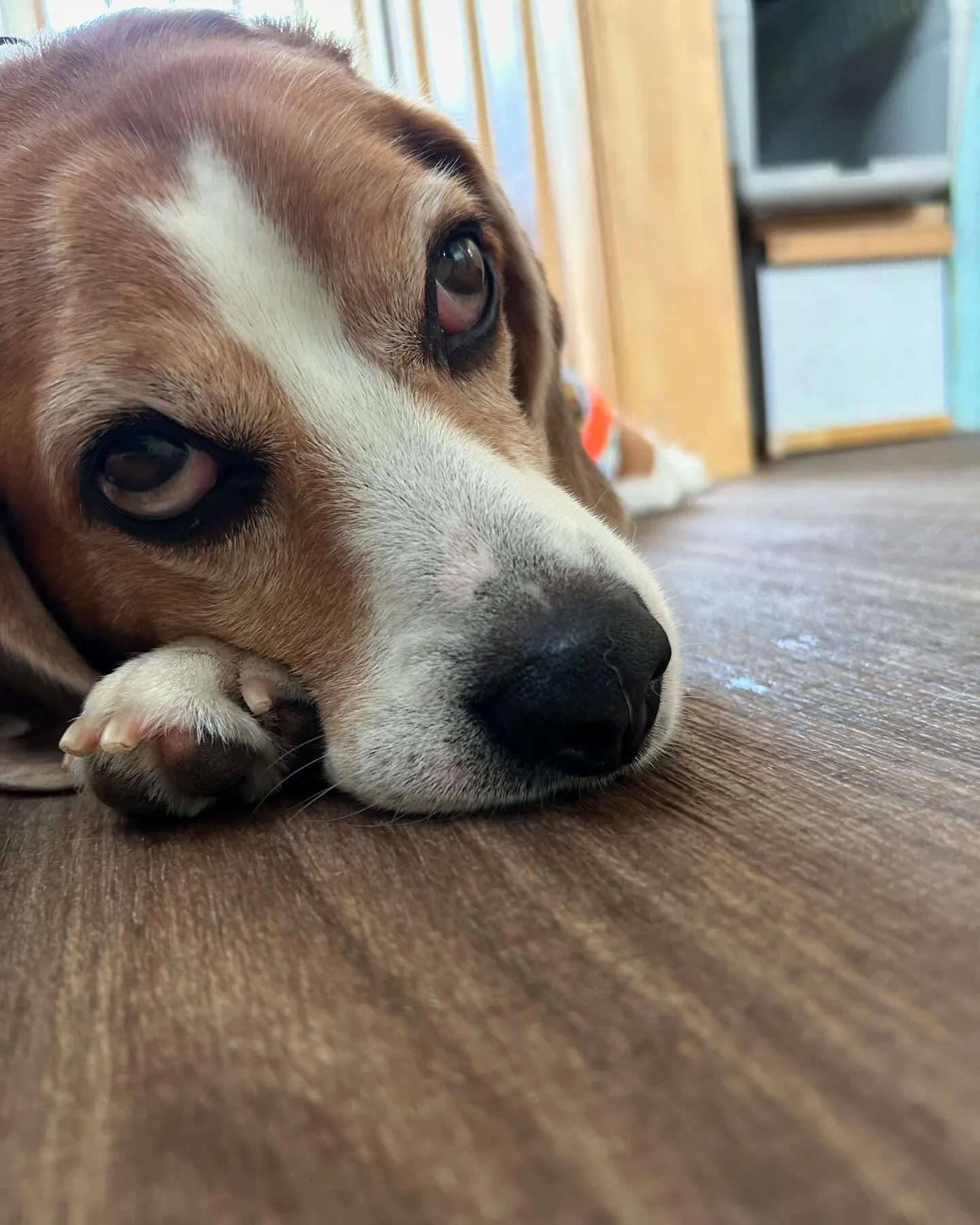 7月の営業カレンダーができあがりました🎶