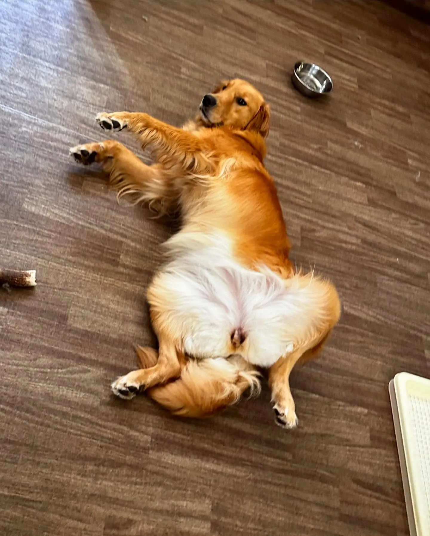 7月の営業カレンダーができあがりました🎶